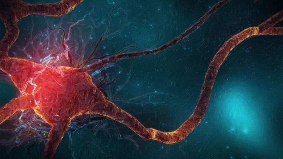Neuroscientists Unlock the Secrets of the Body, Breath, Mind Connection