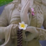 The Healing Power of Rudraksha Malas