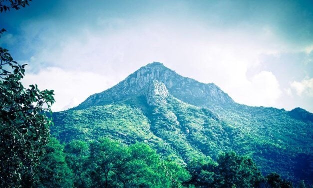 A Pilgrim’s Guide to Arunachala