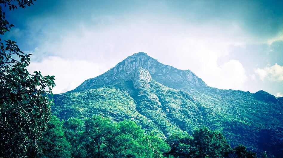 A Pilgrim’s Guide to Arunachala